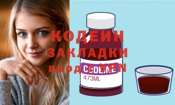 прущий лед Вяземский