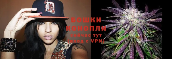 ALPHA PVP Горнозаводск