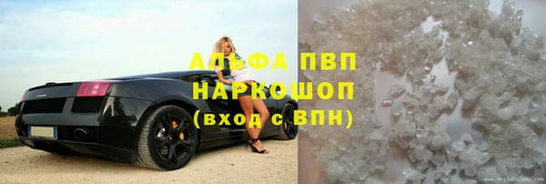 прущий лед Вяземский