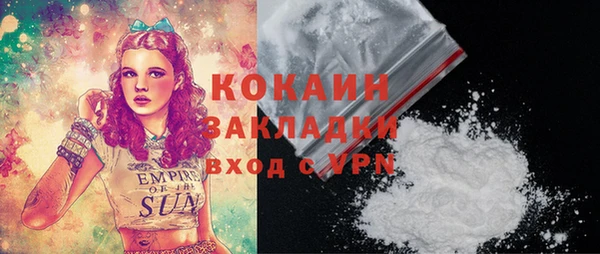 прущий лед Вяземский