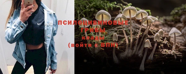 MDMA Горно-Алтайск