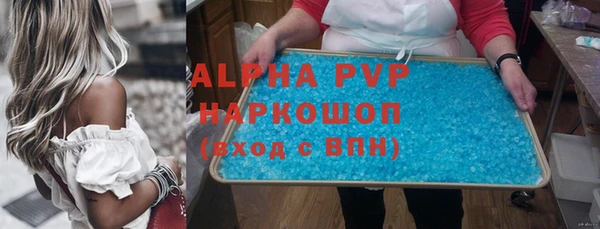 прущий лед Вяземский