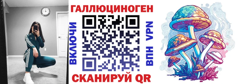 Галлюциногенные грибы Cubensis  Купить где  Тайшет 